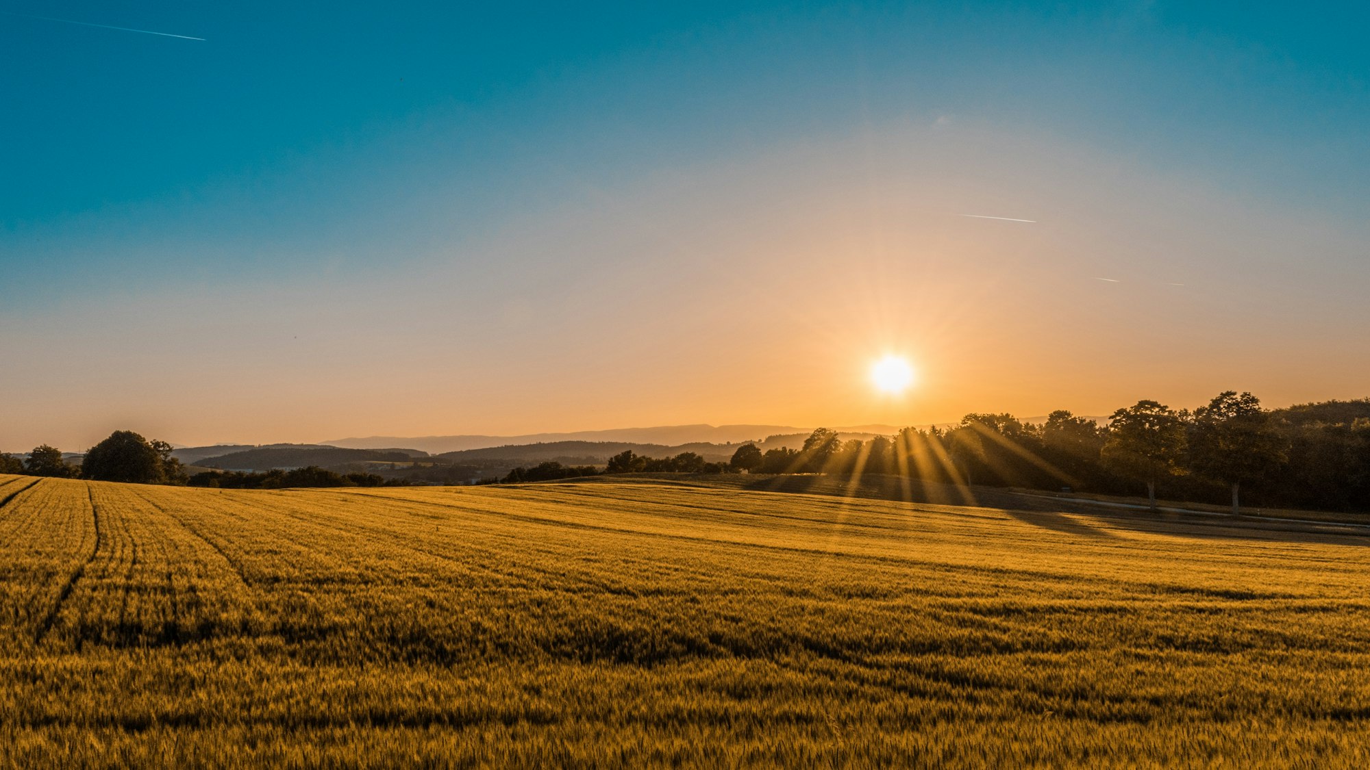 Manejo Inteligente de Pastagens: Como Otimizar a Lotação por Hectare e Aumentar a Lucratividade